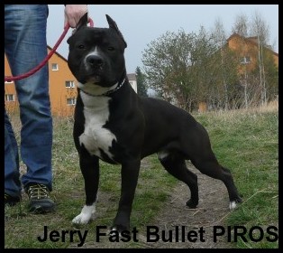 JERRY FAST BULLET Piros